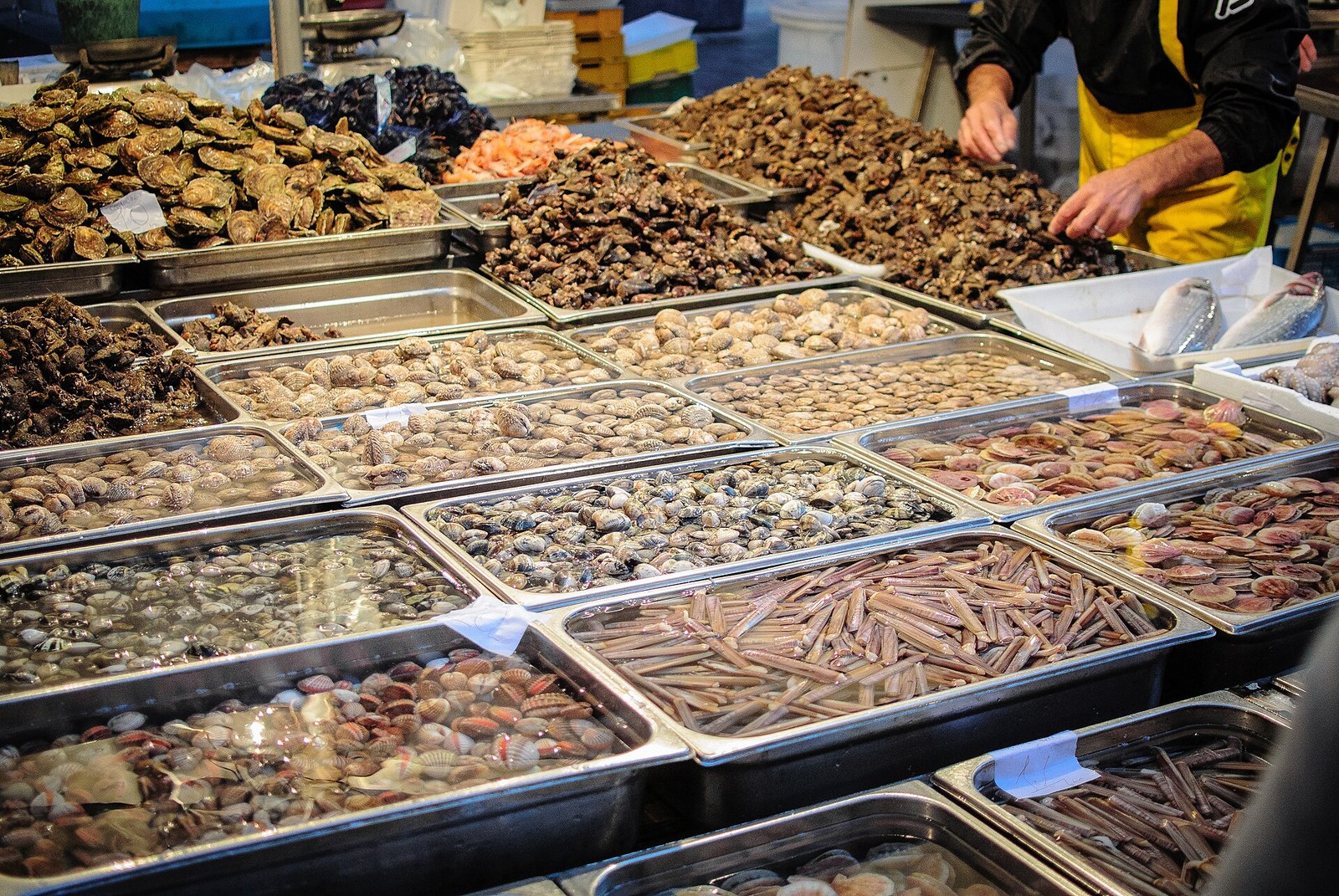 Fresh seafood at La Pescheria fish market in Catania, Sicily