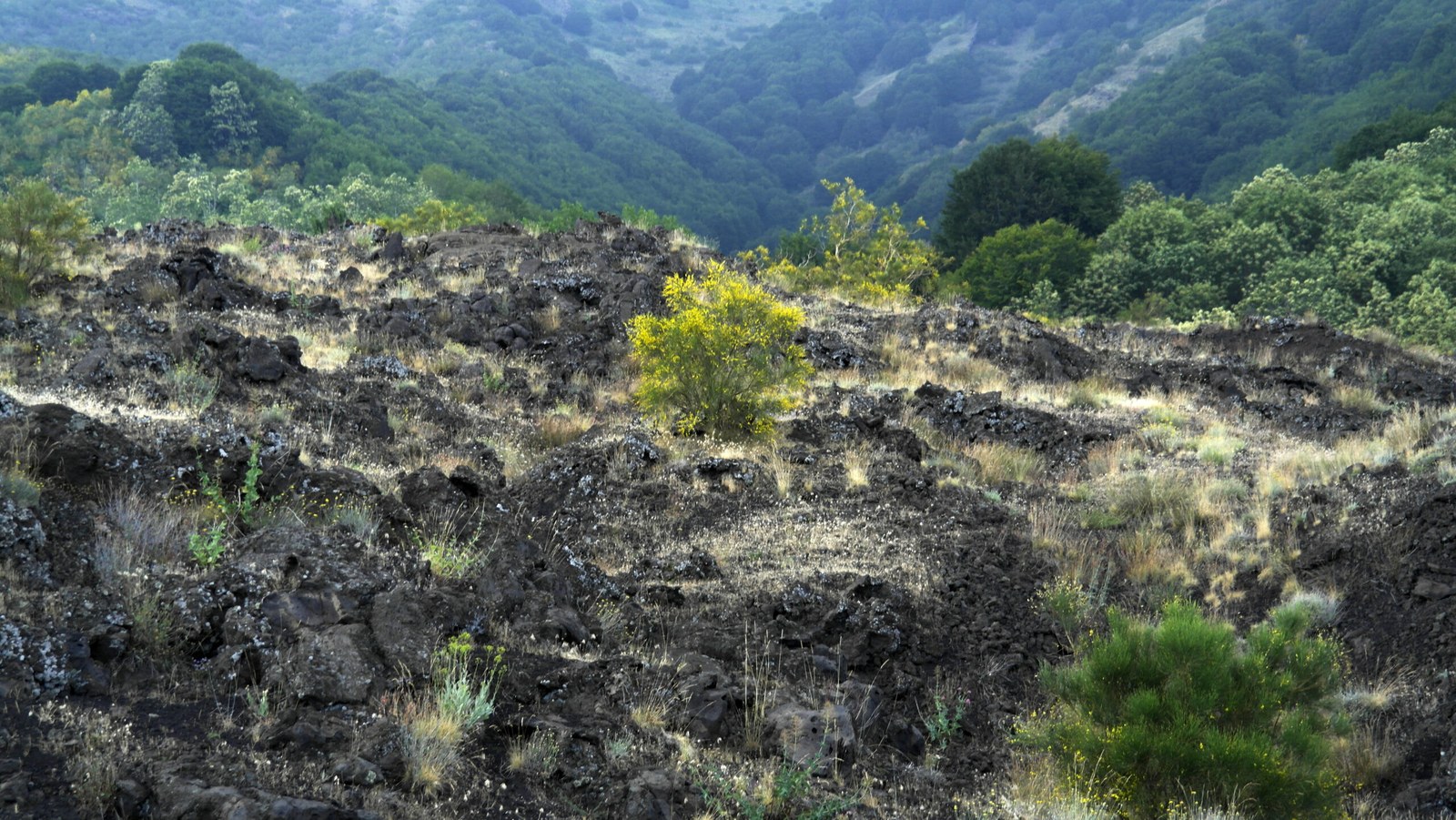 Zafferana Etnea panorama del paese sul versante sud-est dell'Etna