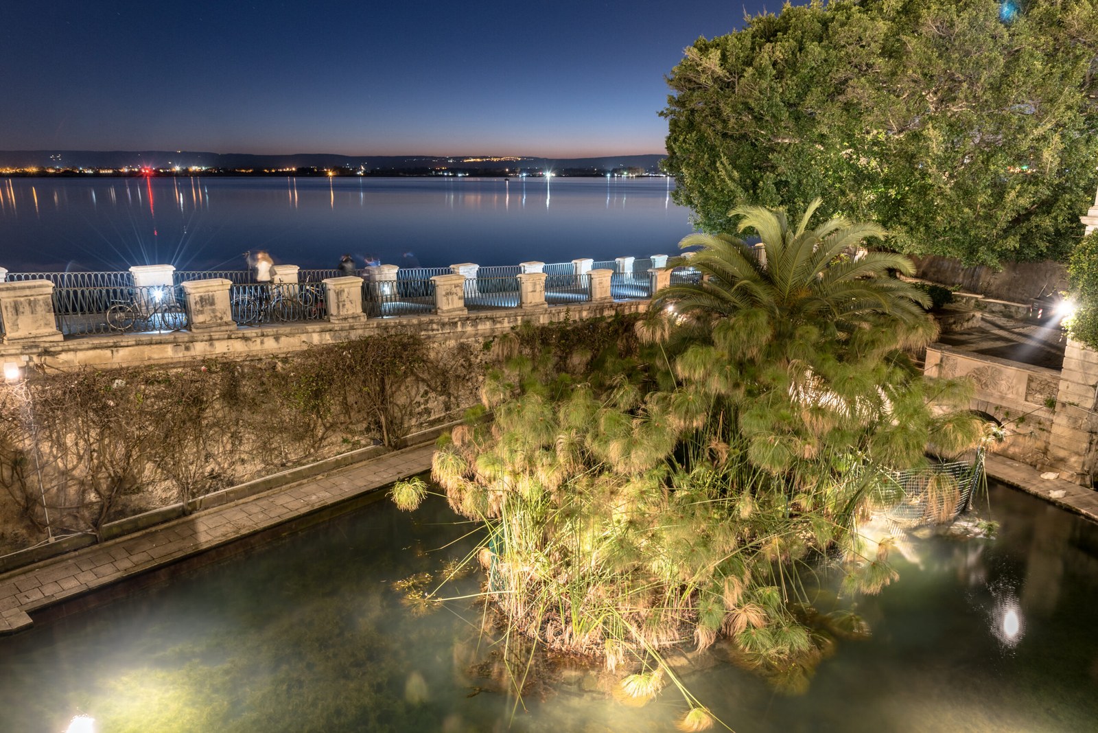 La Fonte Aretusa a Ortigia, Siracusa — tappa romantica del giorno 3 di un weekend in Sicilia