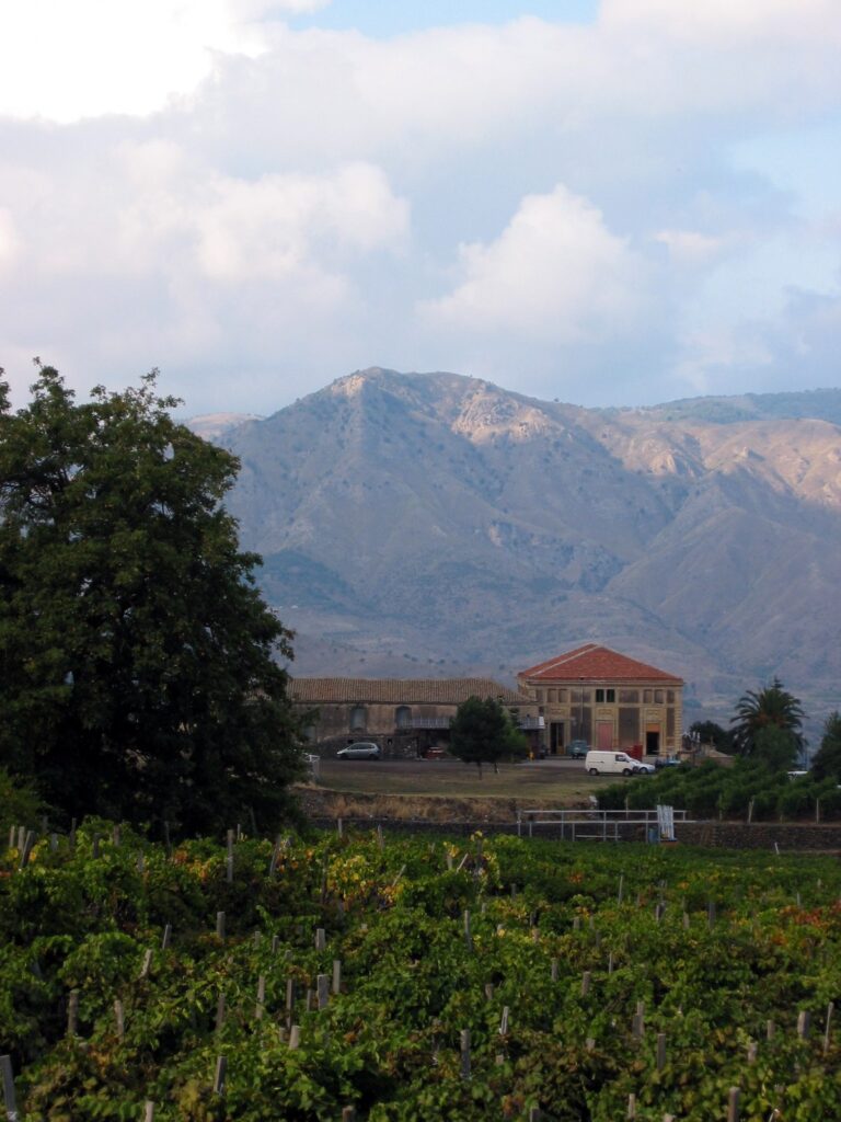 Etna vineyard in Passopisciaro contrada on volcanic soil with Mount Etna in the background — Sicily wine tours