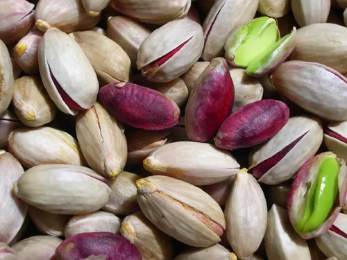 Pistacchio Verde di Bronte DOP appena raccolto, l'Oro Verde coltivato sui terreni lavici dell'Etna
