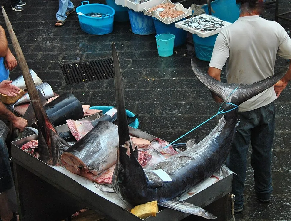 Seafood and shellfish on a Catania fish market stall