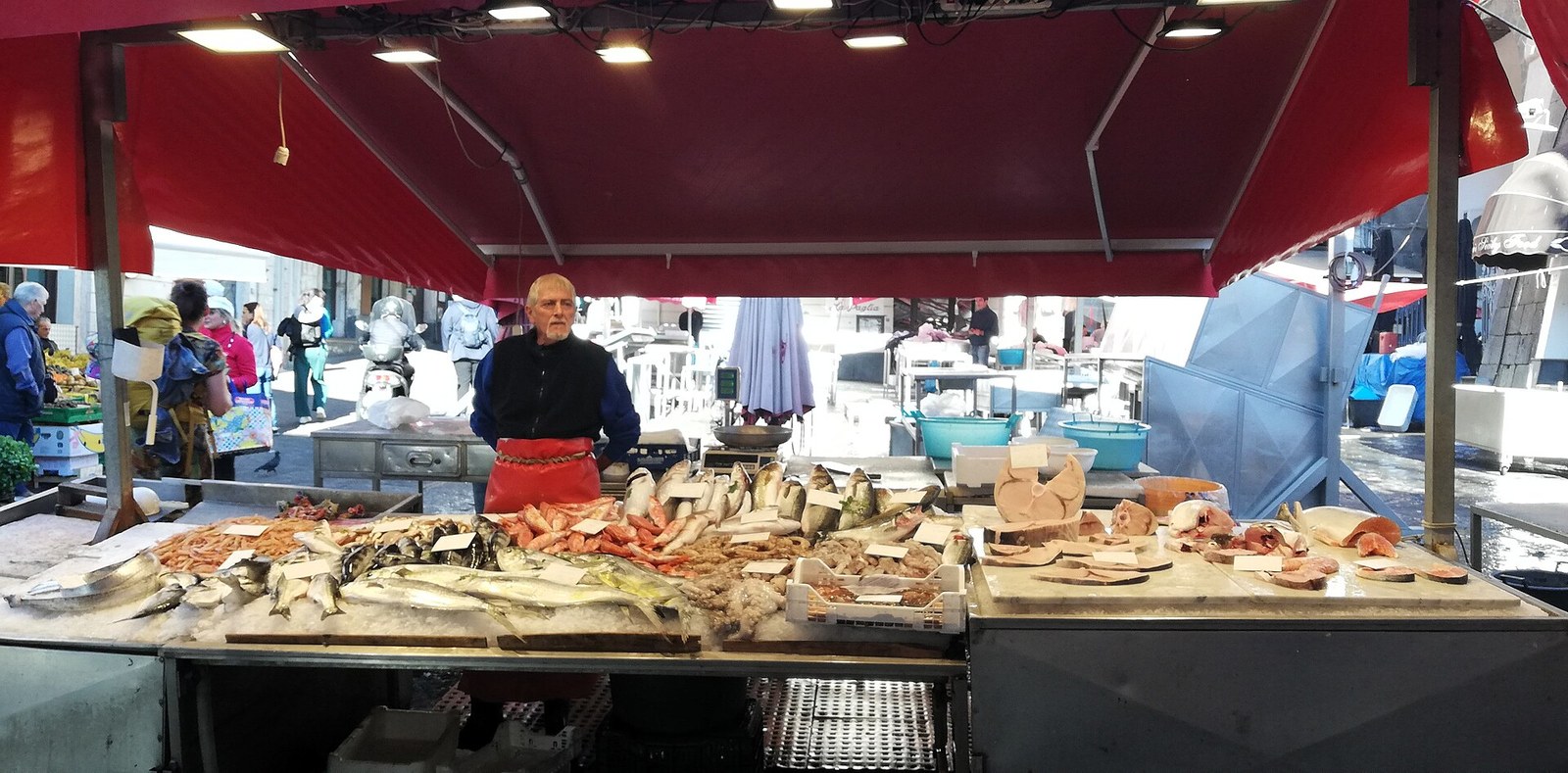 Catania Pescheria fish market fresh catch on ice in the morning