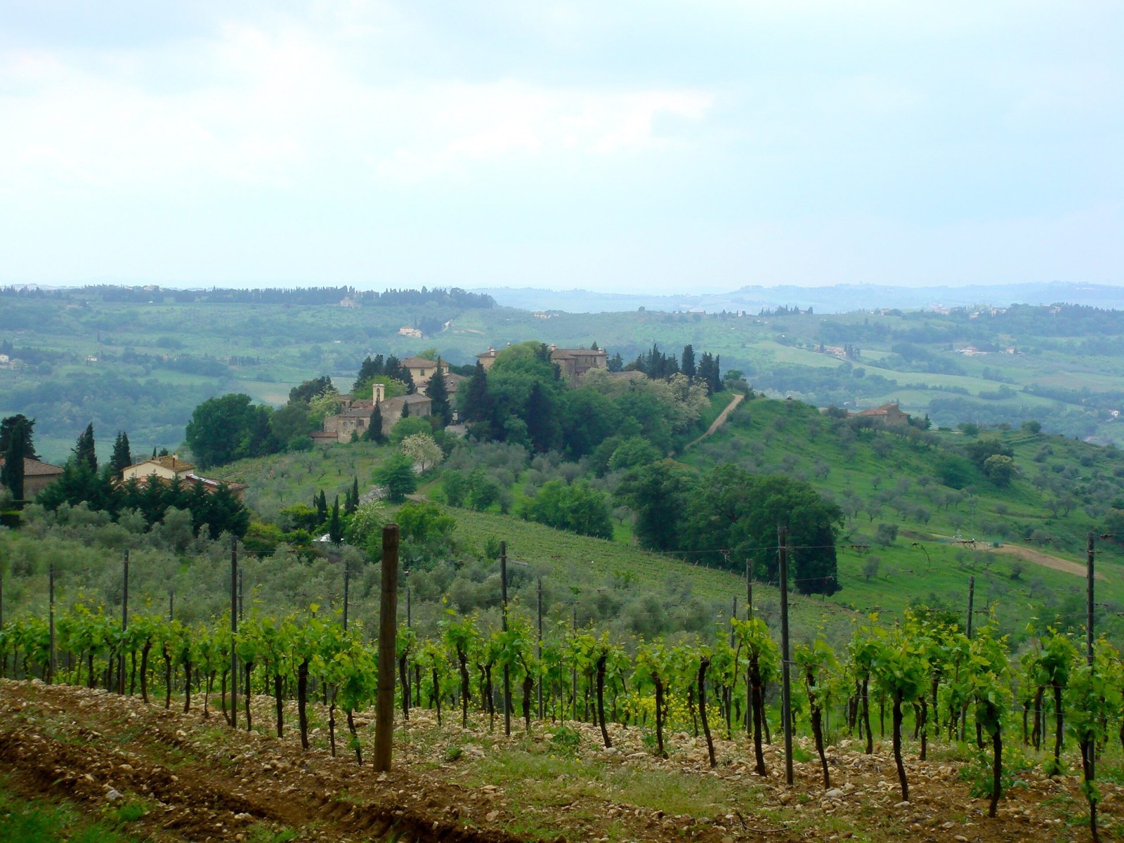 Tuscany vineyard rows in Chianti with cypresses and rolling hills — Italy honeymoon wine country