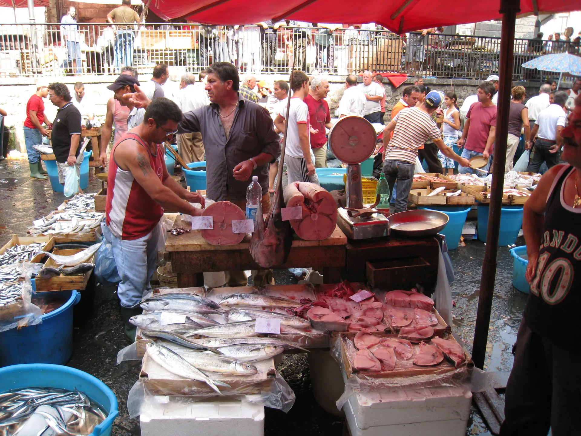 Catania fish market with fresh seafood on display